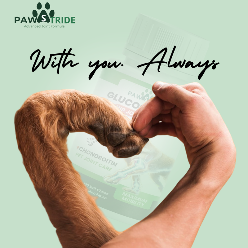 PawStride Glucosamine Hip Joint Chews